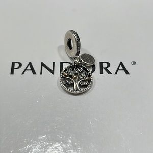 Authentic Pandora Charm